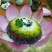 壮族特色花米饭