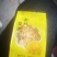 黄山金丝皇菊