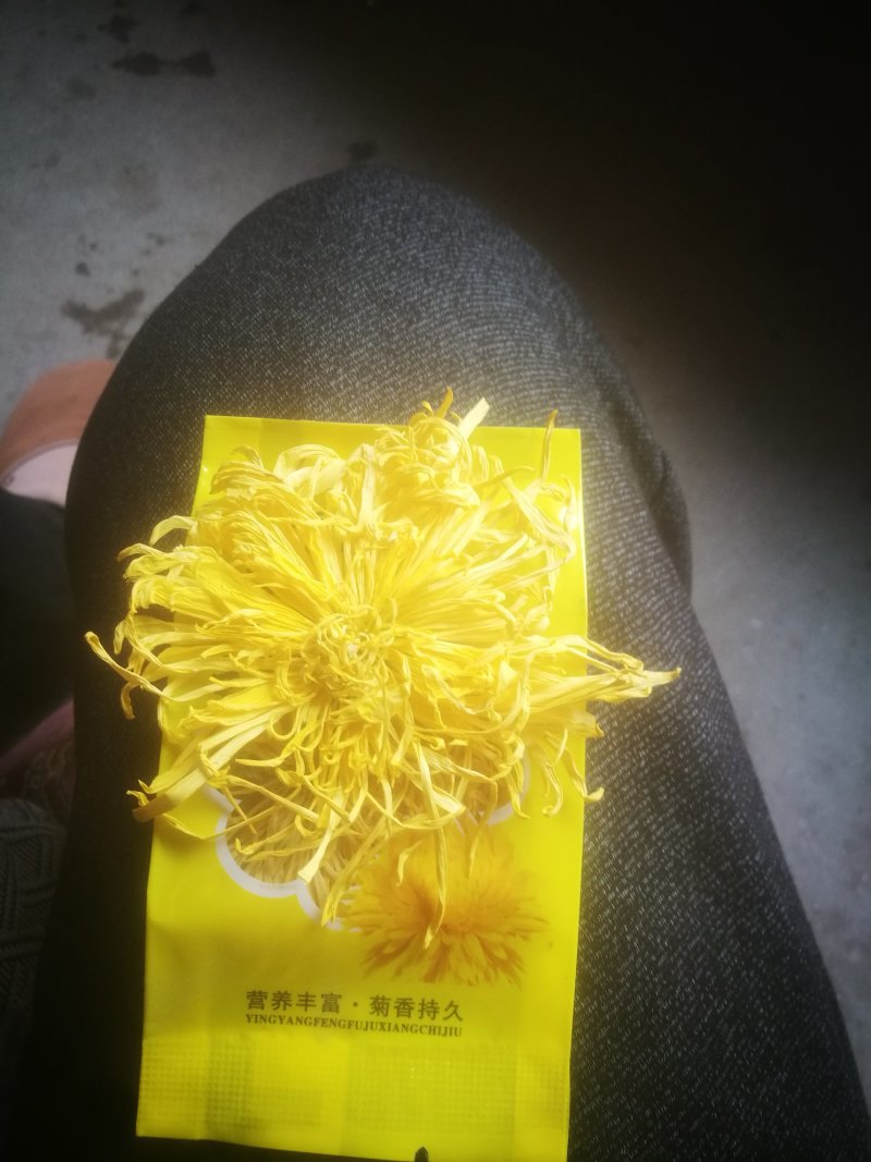 黄山金丝皇菊