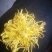 黄山金丝皇菊