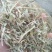 最新花生秧子