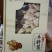 野生菌礼品装，礼盒装