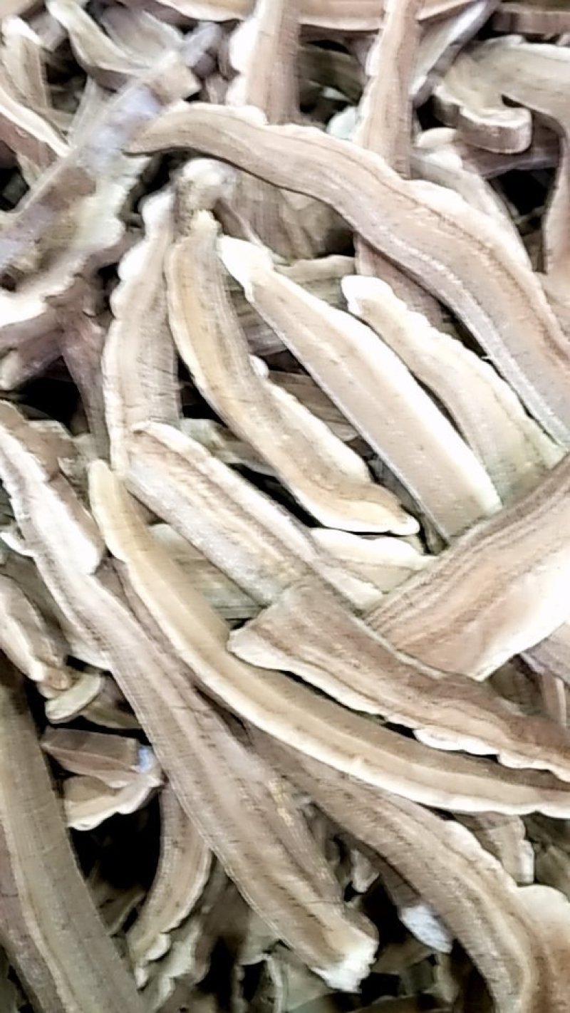 灵芝片选批发各种规格中药材