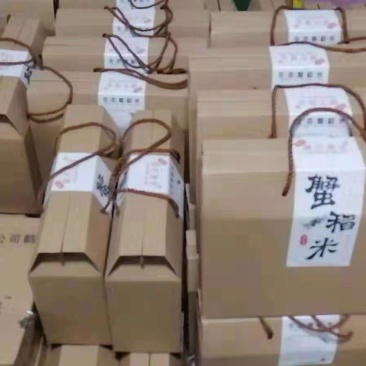 东北蟹稻米，精品东北大米基地直发美味可口对接全国零售批发