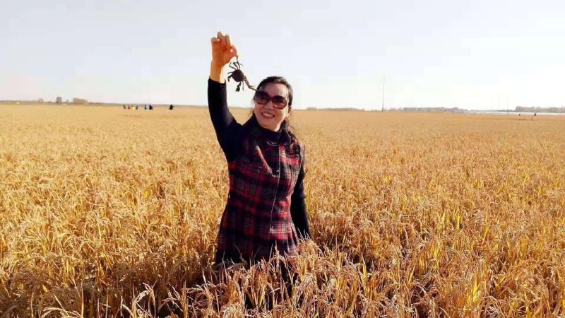 东北蟹稻米，精品东北大米基地直发美味可口对接全国零售批发