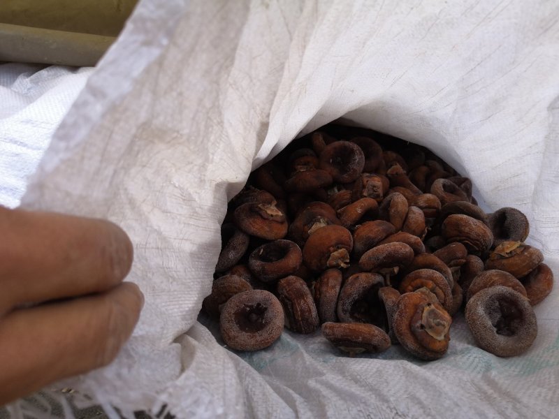 老树柿饼山西老树柿饼开始出霜了