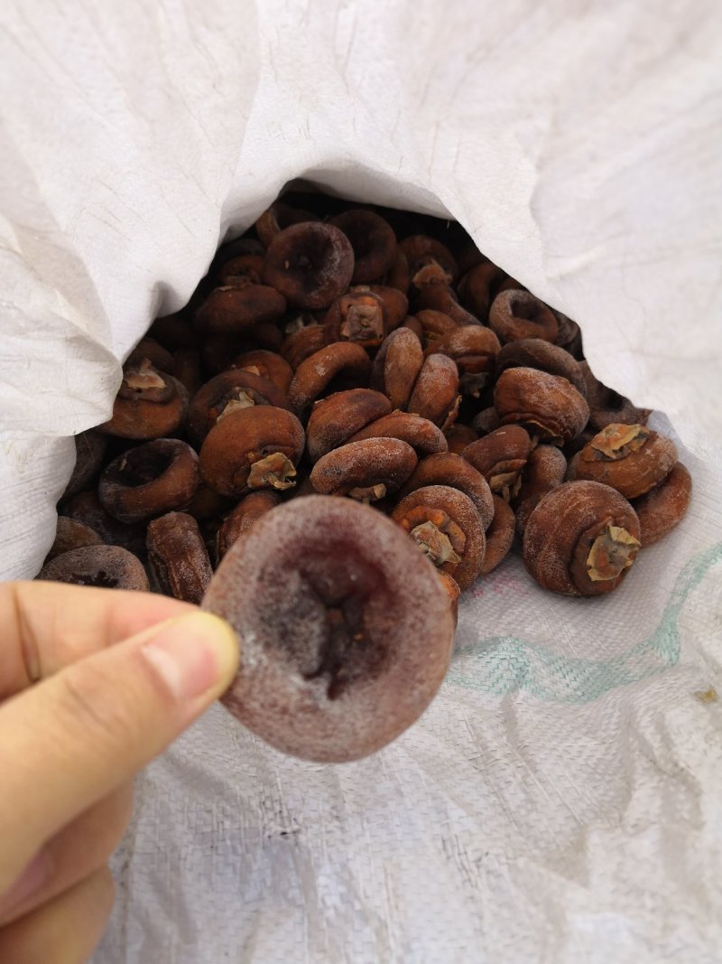 老树柿饼山西老树柿饼开始出霜了