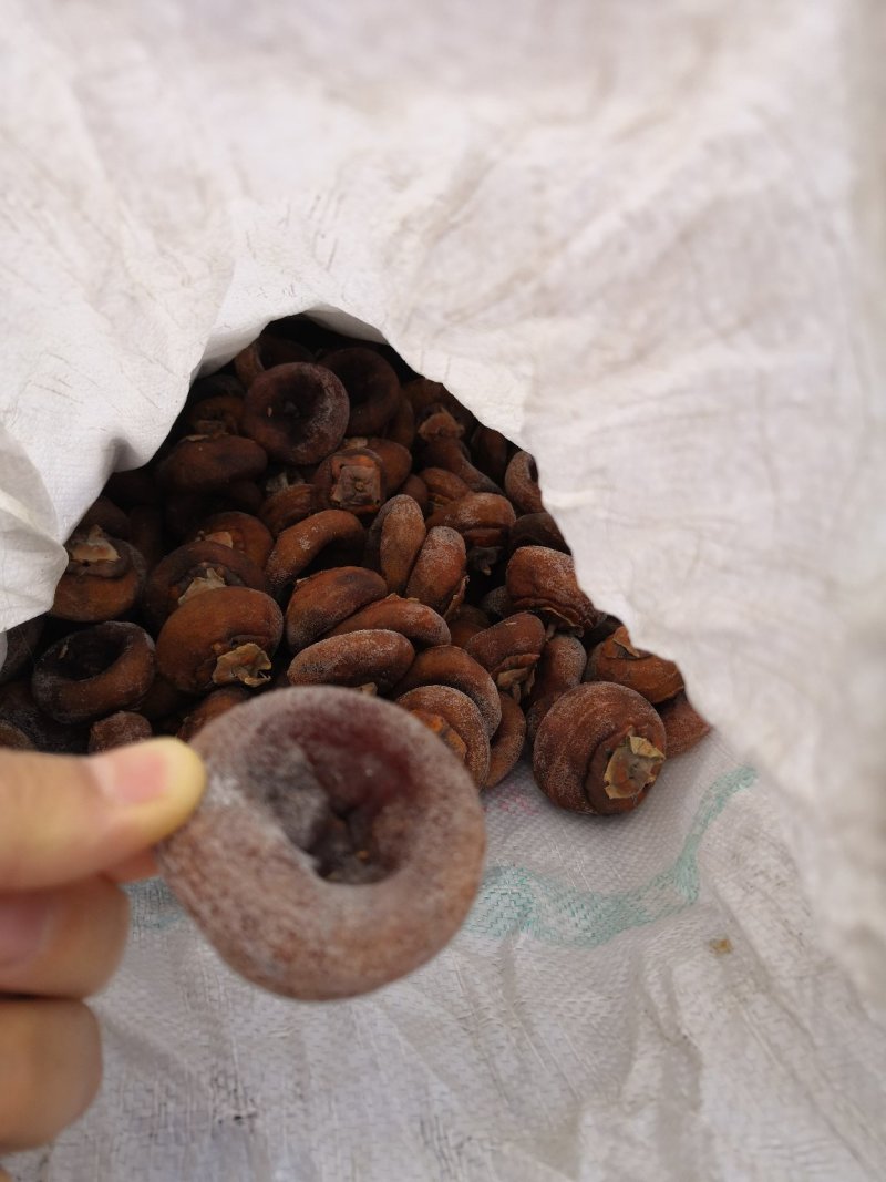 老树柿饼山西老树柿饼开始出霜了