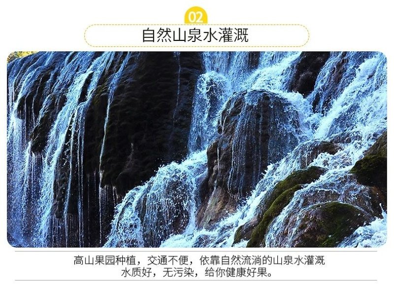 麻阳冰糖橙五斤装微商电商供货一件代发