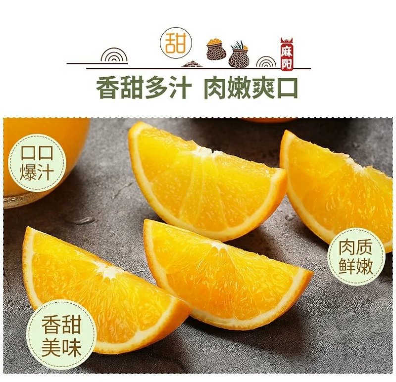 麻阳冰糖橙五斤装微商电商供货一件代发