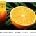 麻阳冰糖橙五斤装微商电商供货一件代发