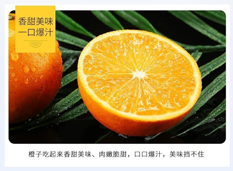 麻阳冰糖橙五斤装微商电商供货一件代发