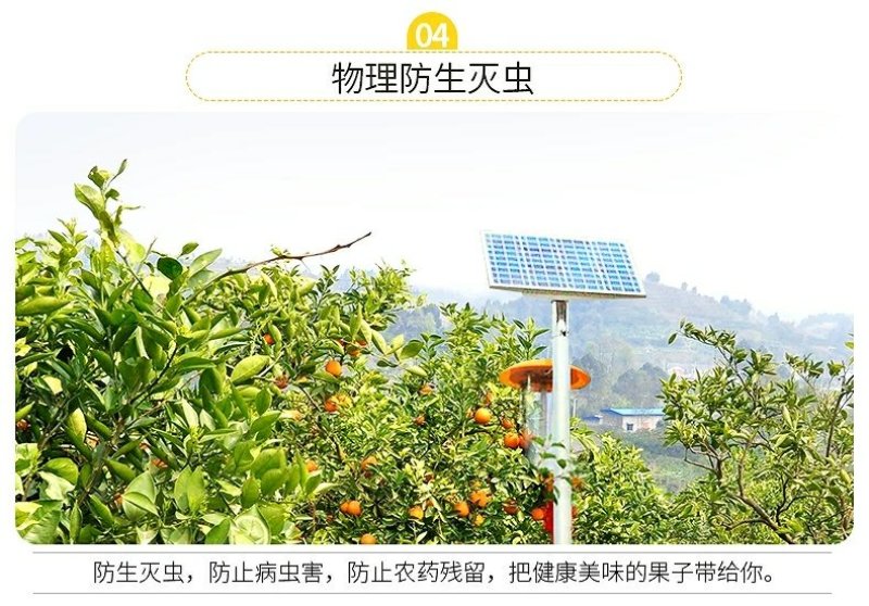 麻阳冰糖橙五斤装微商电商供货一件代发