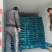 红帽蒜薹精品蒜苔热卖中一吨起批常年代发各地市场