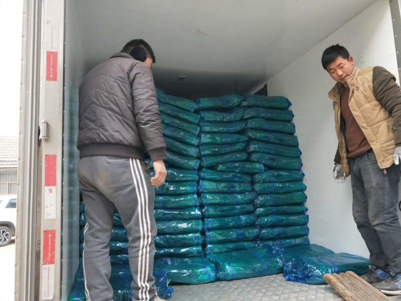 红帽蒜薹精品蒜苔热卖中一吨起批常年代发各地市场