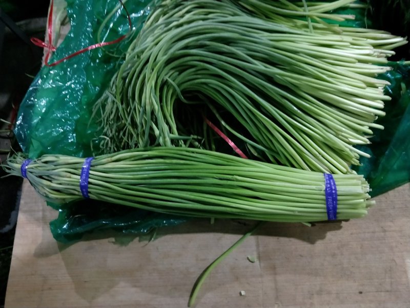 红帽蒜薹精品蒜苔热卖中一吨起批常年代发各地市场