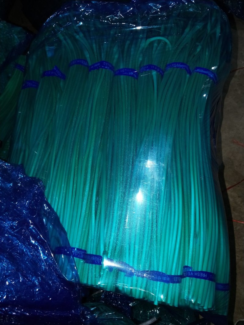 红帽蒜薹精品蒜苔热卖中一吨起批常年代发各地市场