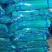 红帽蒜薹精品蒜苔热卖中一吨起批常年代发各地市场