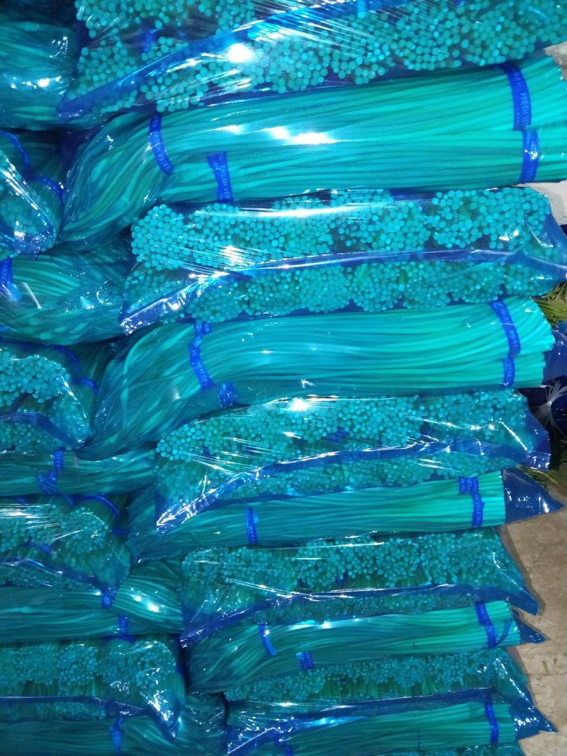 红帽蒜薹精品蒜苔热卖中一吨起批常年代发各地市场