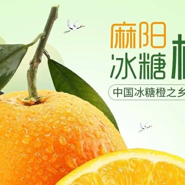 麻阳冰糖橙十斤装微商电商供货渠道