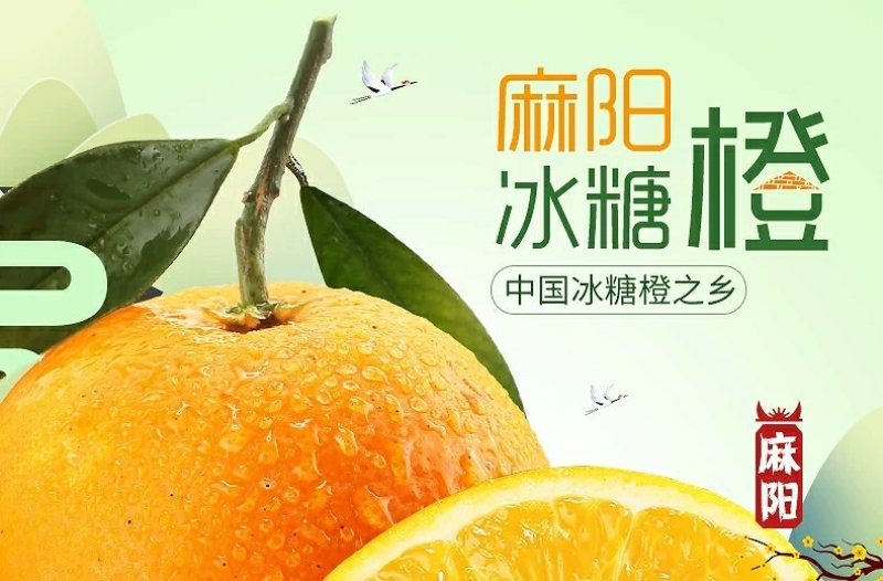 麻阳冰糖橙十斤装微商电商供货渠道