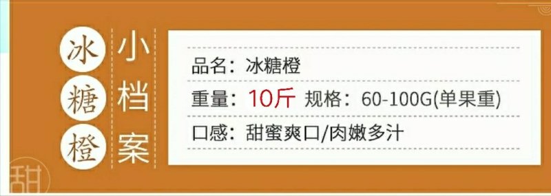 麻阳冰糖橙十斤装微商电商供货渠道