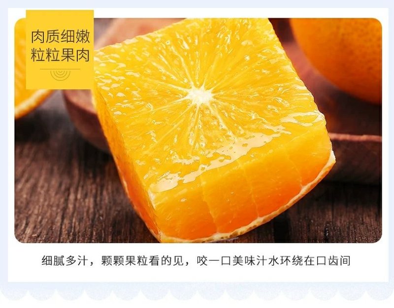 麻阳冰糖橙十斤装微商电商供货渠道