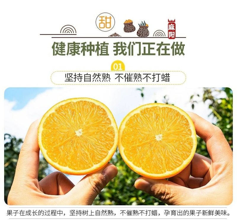 麻阳冰糖橙十斤装微商电商供货渠道
