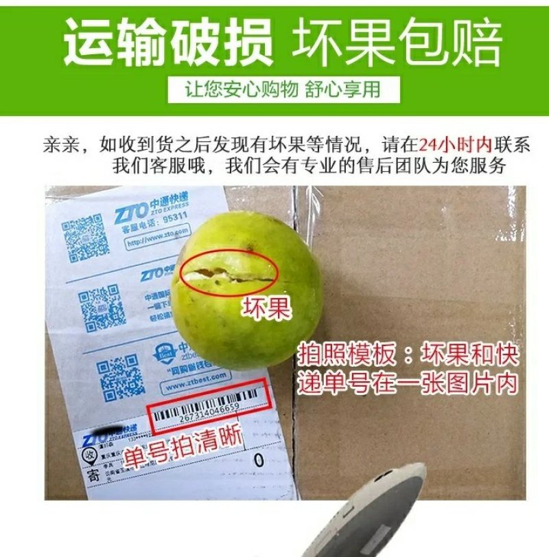 麻阳冰糖橙十斤装微商电商供货渠道