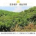 麻阳冰糖橙十斤装微商电商供货渠道