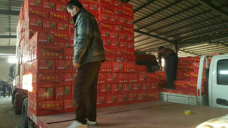地摊大卖新疆灰枣厂家批发商货源充足规格全优质货源