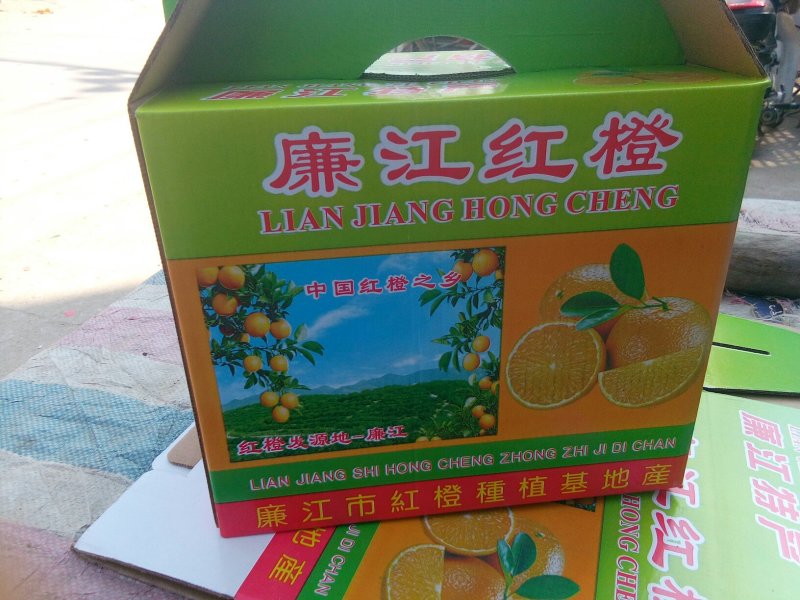 廉江红橙
