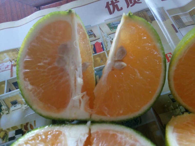 廉江红橙