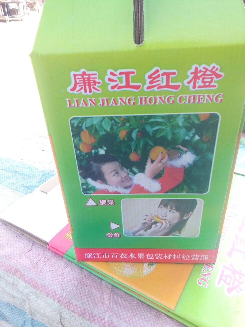 廉江红橙