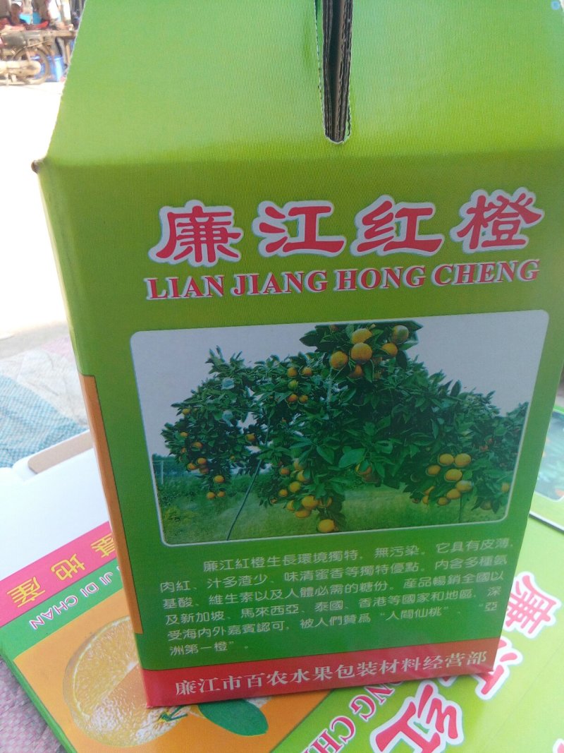 廉江红橙