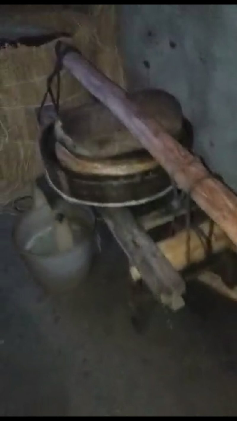 社庚米糖