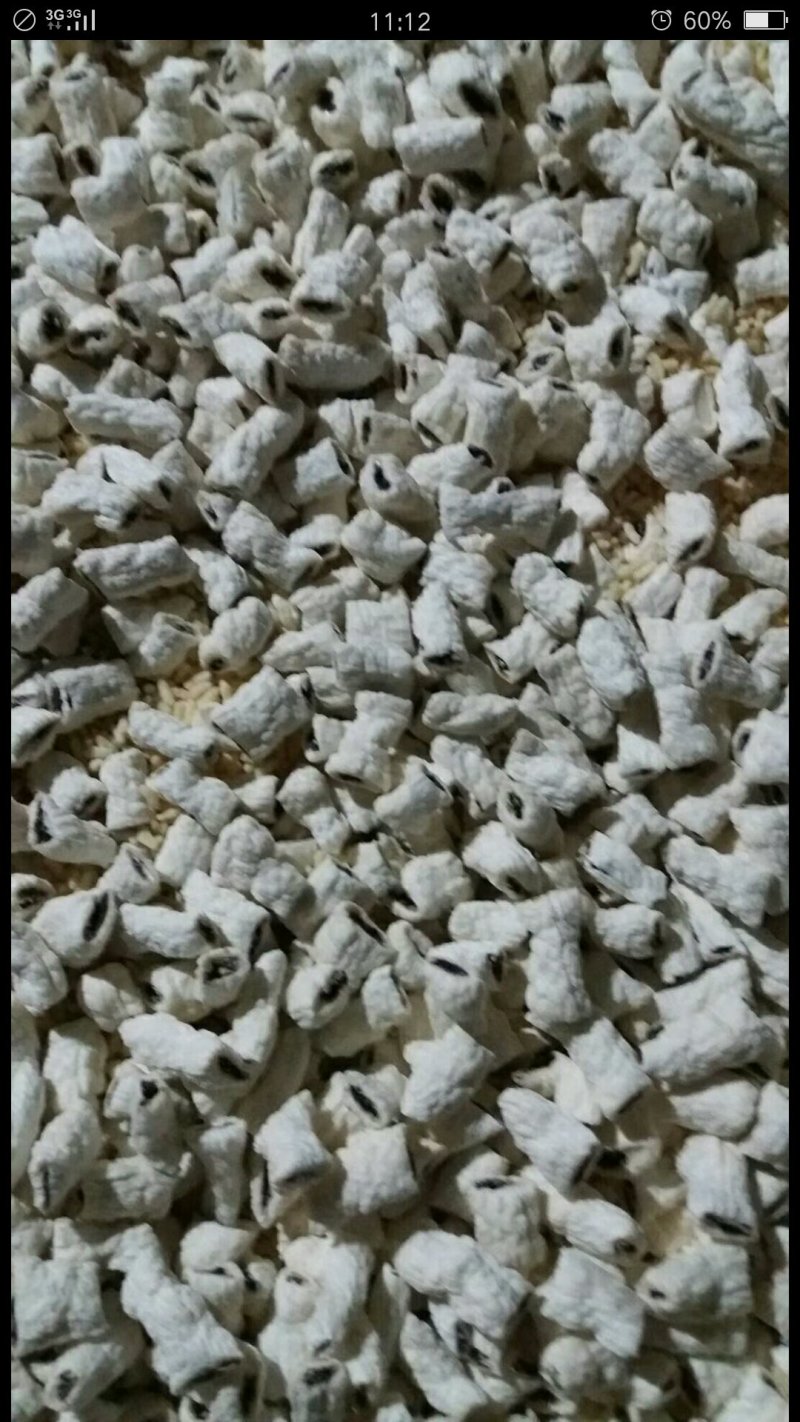 社庚米糖