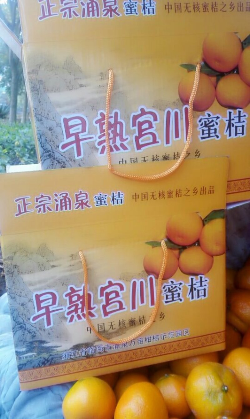 临海涌泉蜜桔