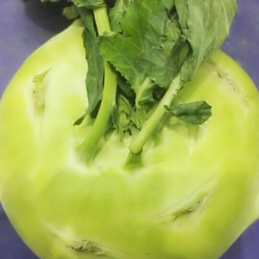 苤蓝