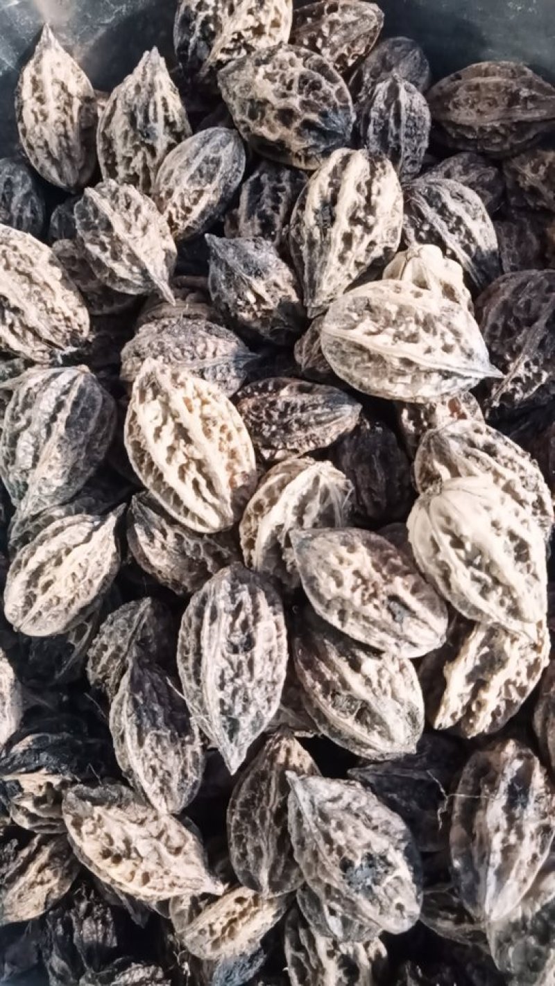 纯野生山核桃，东北山核桃，山核桃