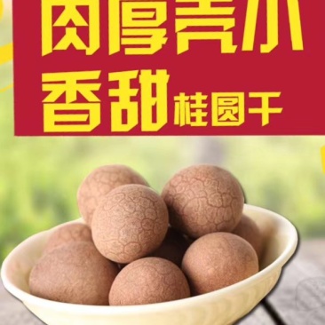 正宗6A大颗桂圆干核小壳薄肉厚龙眼干