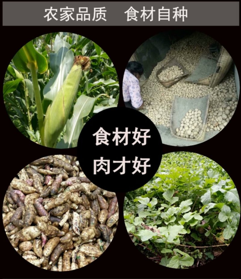 城口土猪老腊肉量大批发一件代发