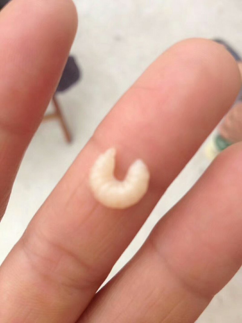 蜂王浆