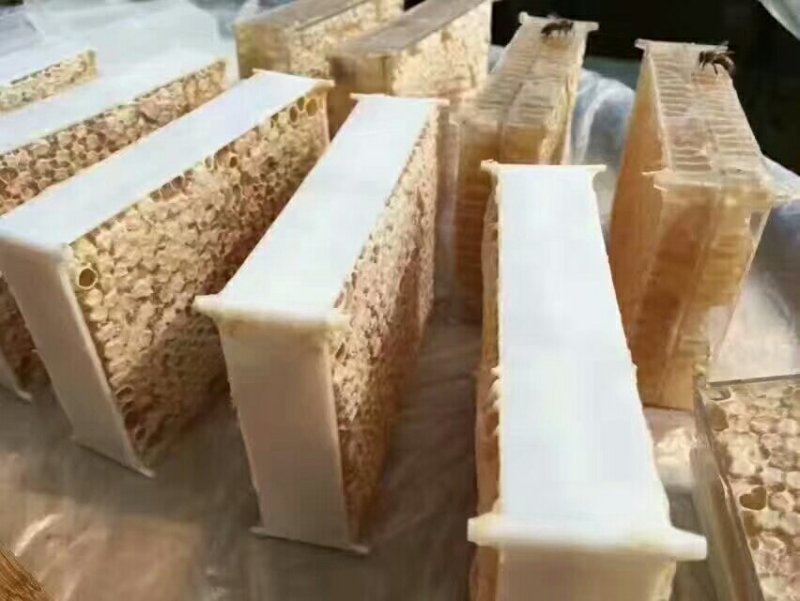 蜂巢蜜