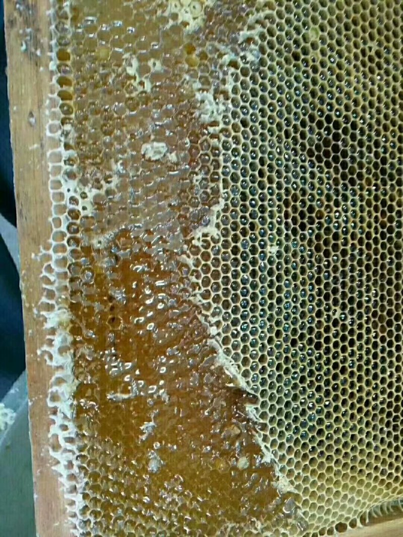 蜂巢蜜