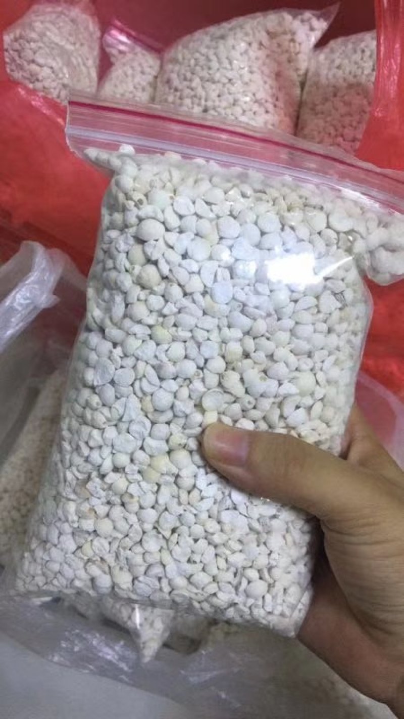 芡实米，正品苏芡入脾、肾经。【功效】健脾止泻，