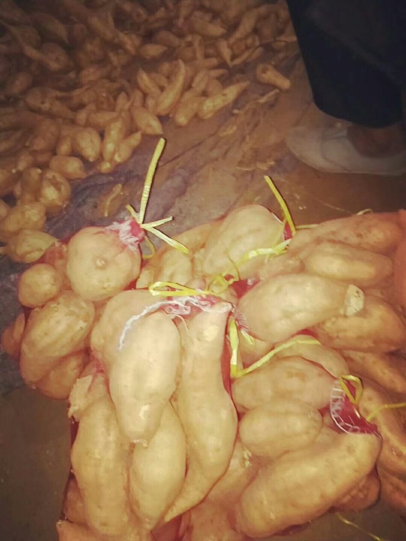 红薯基地批发价格便宜货源充足，量大价格优