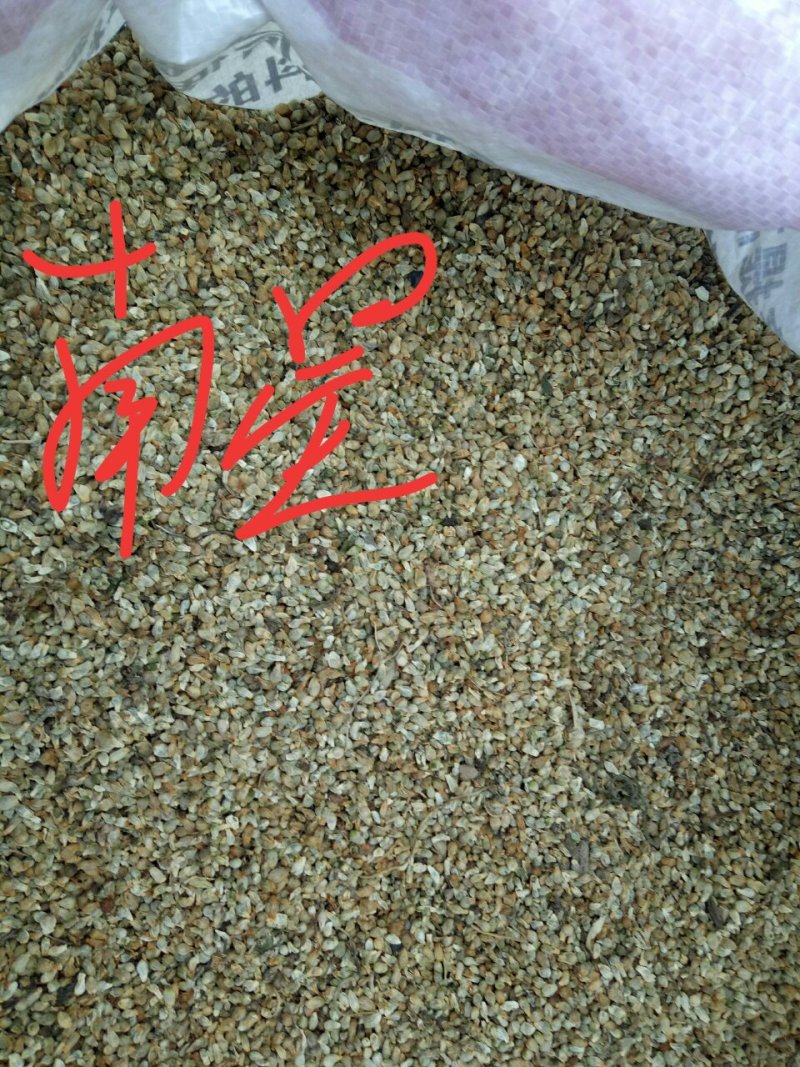 以上品种适合冬春季节种植