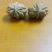 文玩核桃