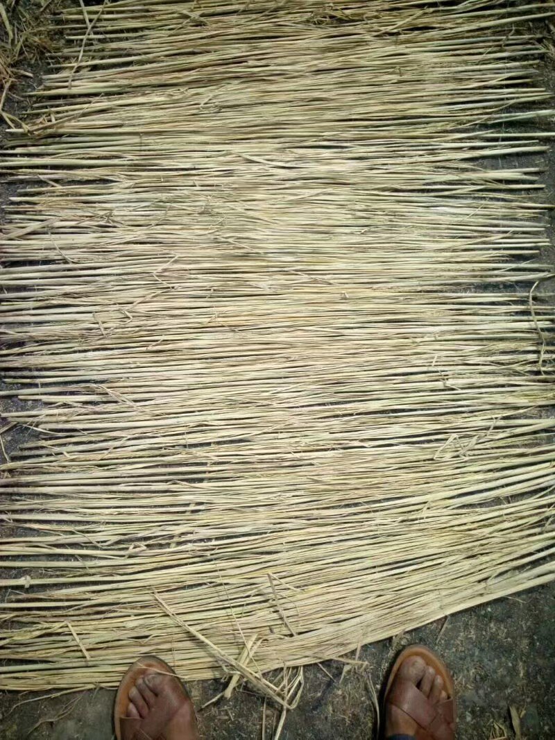 草苫子草绳草帘打包绳好绳，，各种规格，，产地直销。济宁